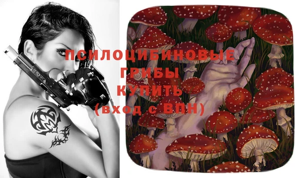 кокс Волоколамск