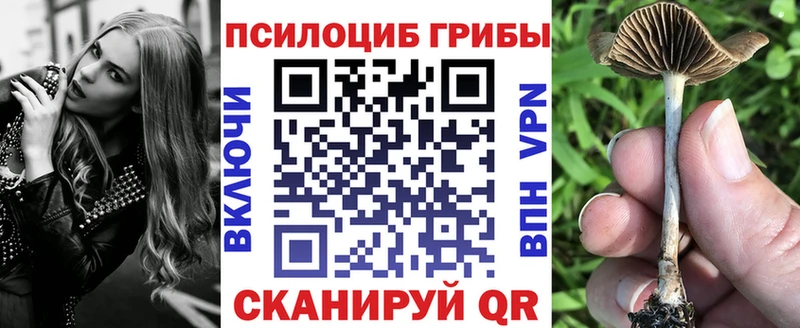 это какой сайт  цена   Славянск-на-Кубани  Псилоцибиновые грибы Psilocybe 